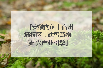 安徽向前丨宿州埇桥区：建智慧物流 兴产业引擎