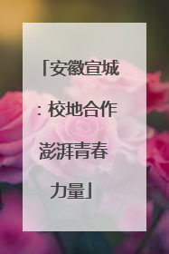 安徽宣城：校地合作 澎湃青春力量