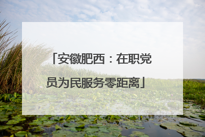 安徽肥西：在职党员为民服务零距离