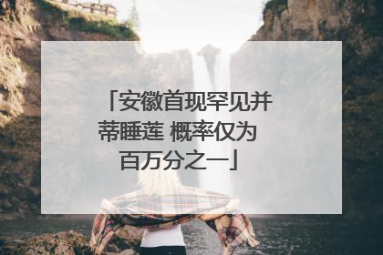 安徽首现罕见并蒂睡莲 概率仅为百万分之一
