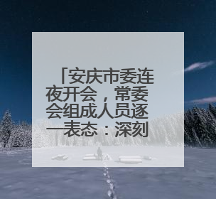 安庆市委连夜开会，常委会组成人员逐一表态：深刻汲取惨痛教训