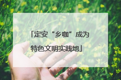 定安“乡咖”成为特色文明实践地