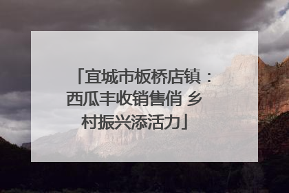 宜城市板桥店镇：西瓜丰收销售俏 乡村振兴添活力