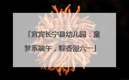 宜宾长宁县幼儿园：童梦系端午，粽香漫六一