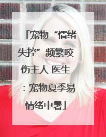 宠物“情绪失控”频繁咬伤主人 医生：宠物夏季易情绪中暑