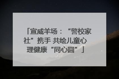 宣威羊场：“警校家社”携手 共绘儿童心理健康“同心圆”