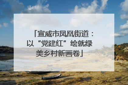 宣威市凤凰街道：以“党建红”绘就绿美乡村新画卷