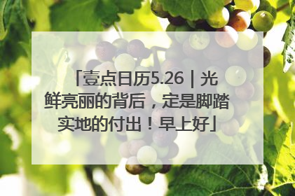 壹点日历5.26｜光鲜亮丽的背后，定是脚踏实地的付出！早上好