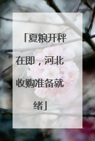 夏粮开秤在即，河北收购准备就绪