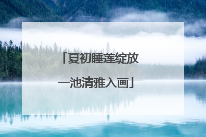 夏初睡莲绽放 一池清雅入画