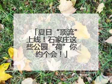 夏日“顶流”上线！石家庄这些公园“荷”你约个会！