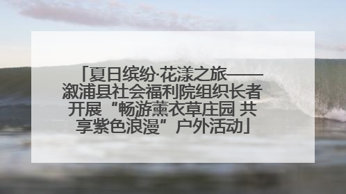 夏日缤纷·花漾之旅——溆浦县社会福利院组织长者开展“畅游薰衣草庄园 共享紫色浪漫”户外活动