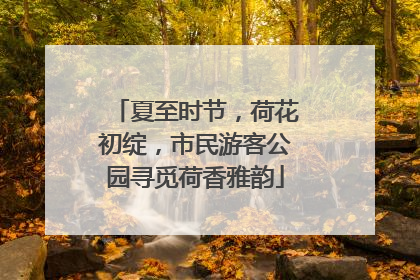 夏至时节，荷花初绽，市民游客公园寻觅荷香雅韵