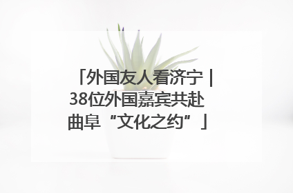 外国友人看济宁｜38位外国嘉宾共赴曲阜“文化之约”