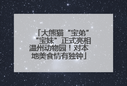 大熊猫“宝弟”“宝妹”正式亮相温州动物园！对本地美食情有独钟