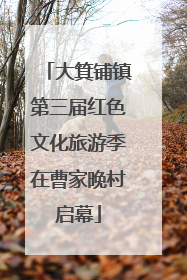 大箕铺镇第三届红色文化旅游季在曹家晚村启幕