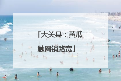 大关县：黄瓜触网销路宽