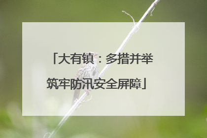 大有镇：多措并举筑牢防汛安全屏障