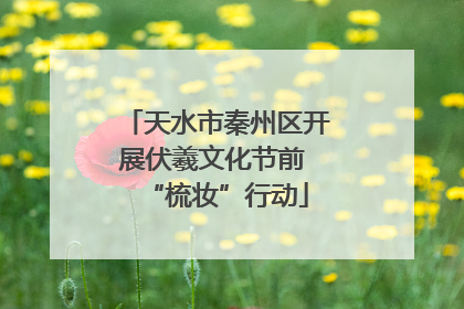 天水市秦州区开展伏羲文化节前 “梳妆”行动
