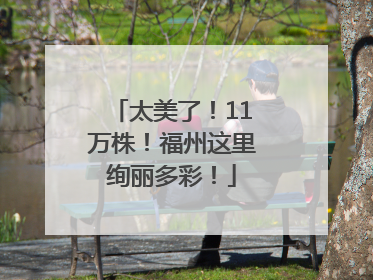 太美了！11万株！福州这里绚丽多彩！
