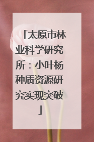 太原市林业科学研究所：小叶杨种质资源研究实现突破