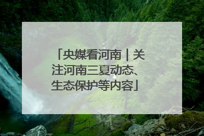 央媒看河南｜关注河南三夏动态、生态保护等内容
