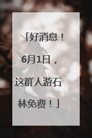 好消息！6月1日，这群人游石林免费！