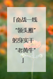 奋战一线“领头雁” 躬身实干“老黄牛”