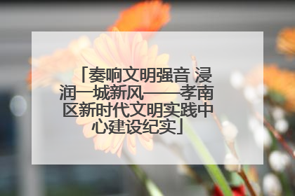 奏响文明强音 浸润一城新风——孝南区新时代文明实践中心建设纪实