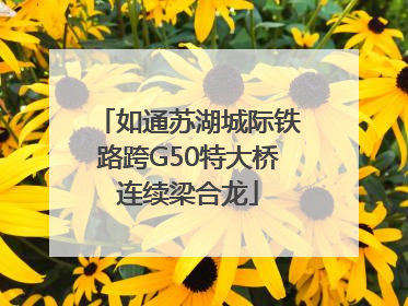 如通苏湖城际铁路跨G50特大桥连续梁合龙