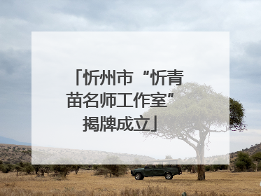 忻州市“忻青苗名师工作室”揭牌成立
