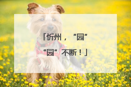 忻州，“园”“园”不断！