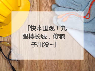 快来围观！九眼楼长城，傻狍子出没~