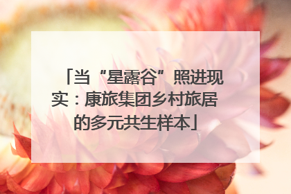 当“星露谷”照进现实：康旅集团乡村旅居的多元共生样本