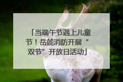 当端午节遇上儿童节！岳麓消防开展“双节”开放日活动