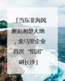 当东非海风邂逅湘楚大地，索马里企业首次“组团”刷长沙