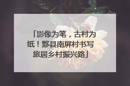 影像为笔，古村为纸！黟县南屏村书写旅居乡村振兴路