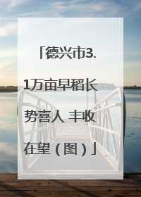 德兴市3.1万亩早稻长势喜人 丰收在望（图）