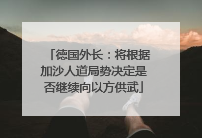 德国外长：将根据加沙人道局势决定是否继续向以方供武