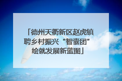 德州天衢新区赵虎镇聘乡村振兴“智囊团” 绘就发展新蓝图