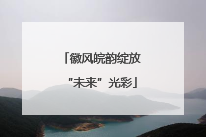 徽风皖韵绽放“未来”光彩