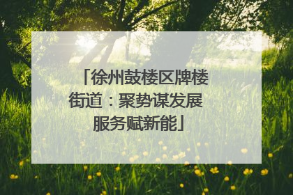 徐州鼓楼区牌楼街道：聚势谋发展 服务赋新能