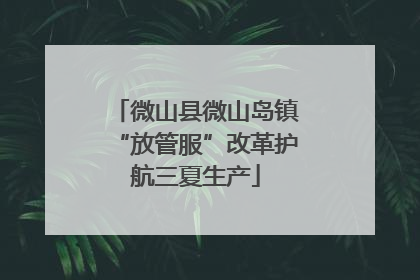微山县微山岛镇“放管服”改革护航三夏生产