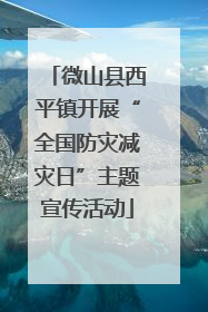 微山县西平镇开展“全国防灾减灾日”主题宣传活动