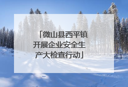 微山县西平镇开展企业安全生产大检查行动