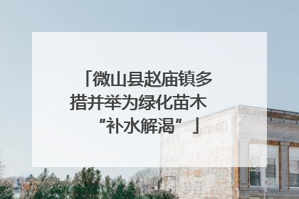 微山县赵庙镇多措并举为绿化苗木“补水解渴”