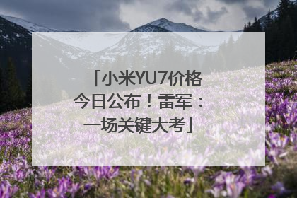 小米YU7价格今日公布！雷军：一场关键大考