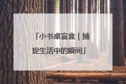 小书桌盲盒｜捕捉生活中的瞬间
