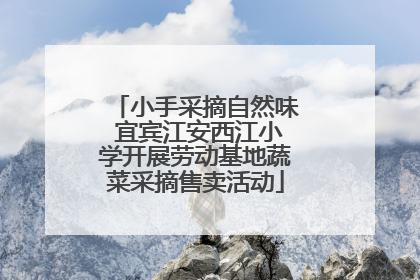 小手采摘自然味 宜宾江安西江小学开展劳动基地蔬菜采摘售卖活动
