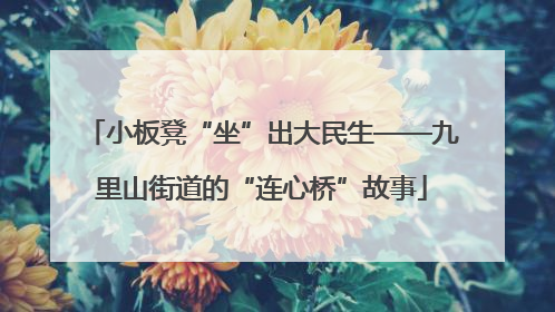 小板凳“坐”出大民生——九里山街道的“连心桥”故事